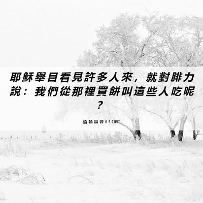 Picture 06 - 約 翰 福 音 6:5 CUVT - 耶 穌 舉 目 看 見 許 多 人 來 ， 就 - Bible Verse Picture
