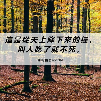 Picture 06 - 約 翰 福 音 6:50 CUVT - 這 是 從 天 上 降 下 來 的 糧 ， 叫 - Bible Verse Picture