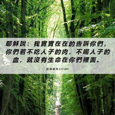 Picture 06 - 約 翰 福 音 6:53 CUVT - 耶 穌 說 ： 我 實 實 在 在 的 告 訴 - Bible Verse Picture