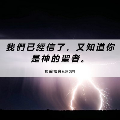 Picture 06 - 約 翰 福 音 6:69 CUVT - 我 們 已 經 信 了 ， 又 知 道 你 是 - Bible Verse Picture