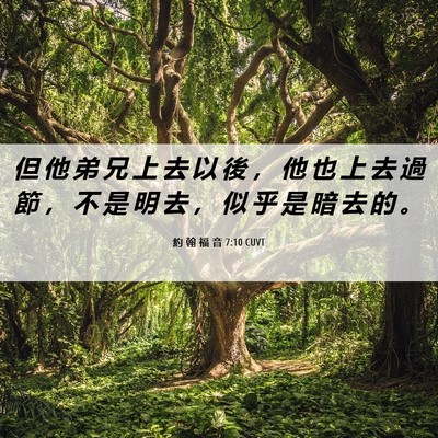Picture 06 - 約 翰 福 音 7:10 CUVT - 但 他 弟 兄 上 去 以 後 ， 他 也 上 - Bible Verse Picture