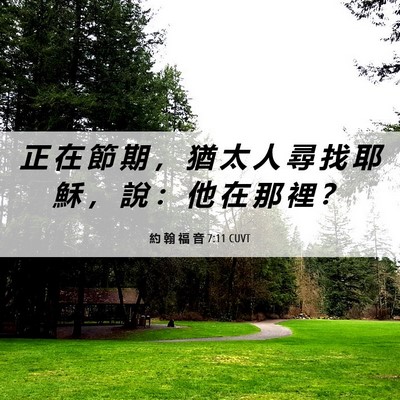 Picture 06 - 約 翰 福 音 7:11 CUVT - 正 在 節 期 ， 猶 太 人 尋 找 耶 穌 - Bible Verse Picture