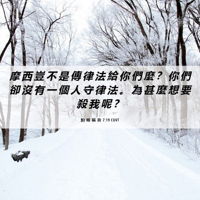 Picture 06 - 約 翰 福 音 7:19 CUVT - 摩 西 豈 不 是 傳 律 法 給 你 們 麼 - Bible Verse Picture