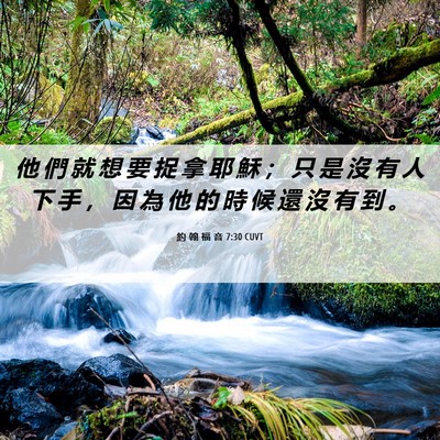 Picture 06 - 約 翰 福 音 7:30 CUVT - 他 們 就 想 要 捉 拿 耶 穌 ； 只 是 - Bible Verse Picture