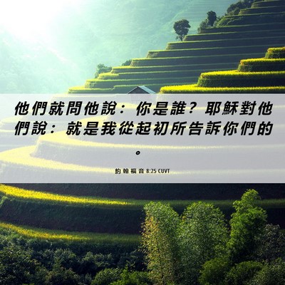 Picture 06 - 約 翰 福 音 8:25 CUVT - 他 們 就 問 他 說 ： 你 是 誰 ？ 耶 - Bible Verse Picture