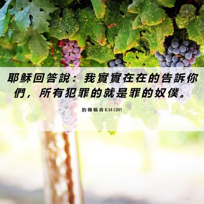 Picture 06 - 約 翰 福 音 8:34 CUVT - 耶 穌 回 答 說 ： 我 實 實 在 在 的 - Bible Verse Picture
