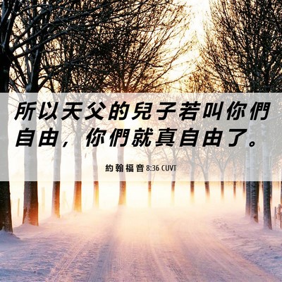 Picture 06 - 約 翰 福 音 8:36 CUVT - 所 以 天 父 的 兒 子 若 叫 你 們 自 - Bible Verse Picture