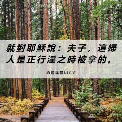 Picture 06 - 約 翰 福 音 8:4 CUVT - 就 對 耶 穌 說 ： 夫 子 ， 這 婦 人 - Bible Verse Picture