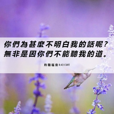 Picture 06 - 約 翰 福 音 8:43 CUVT - 你 們 為 甚 麼 不 明 白 我 的 話 呢 - Bible Verse Picture