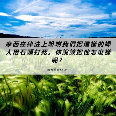 Picture 06 - 約 翰 福 音 8:5 CUVT - 摩 西 在 律 法 上 吩 咐 我 們 把 這 - Bible Verse Picture
