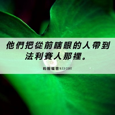 Picture 06 - 約 翰 福 音 9:13 CUVT - 他 們 把 從 前 瞎 眼 的 人 帶 到 法 - Bible Verse Picture