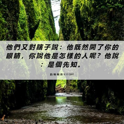 Picture 06 - 約 翰 福 音 9:17 CUVT - 他 們 又 對 瞎 子 說 ： 他 既 然 開 - Bible Verse Picture