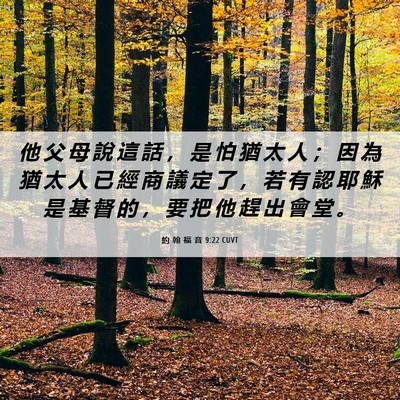 Picture 06 - 約 翰 福 音 9:22 CUVT - 他 父 母 說 這 話 ， 是 怕 猶 太 人 - Bible Verse Picture