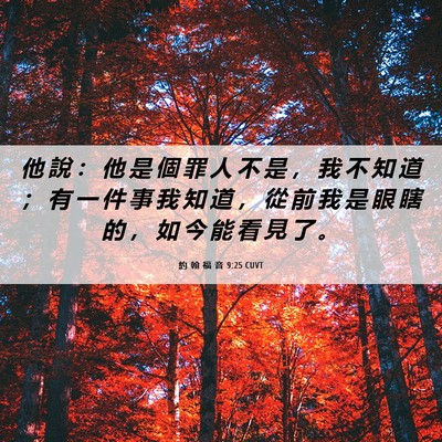 Picture 06 - 約 翰 福 音 9:25 CUVT - 他 說 ： 他 是 個 罪 人 不 是 ， 我 - Bible Verse Picture