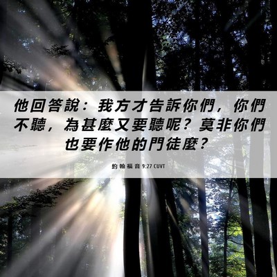 Picture 06 - 約 翰 福 音 9:27 CUVT - 他 回 答 說 ： 我 方 才 告 訴 你 們 - Bible Verse Picture