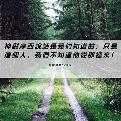 Picture 06 - 約 翰 福 音 9:29 CUVT - 神 對 摩 西 說 話 是 我 們 知 道 的 - Bible Verse Picture