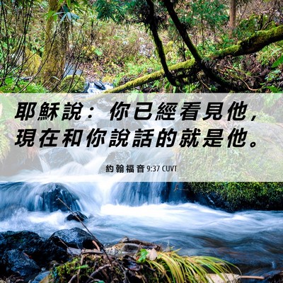 Picture 06 - 約 翰 福 音 9:37 CUVT - 耶 穌 說 ： 你 已 經 看 見 他 ， 現 - Bible Verse Picture