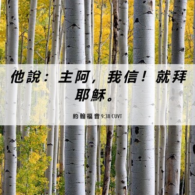 Picture 06 - 約 翰 福 音 9:38 CUVT - 他 說 ： 主 阿 ， 我 信 ！ 就 拜 耶 - Bible Verse Picture