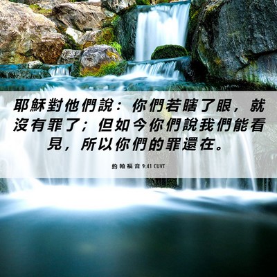 Picture 06 - 約 翰 福 音 9:41 CUVT - 耶 穌 對 他 們 說 ： 你 們 若 瞎 了 - Bible Verse Picture