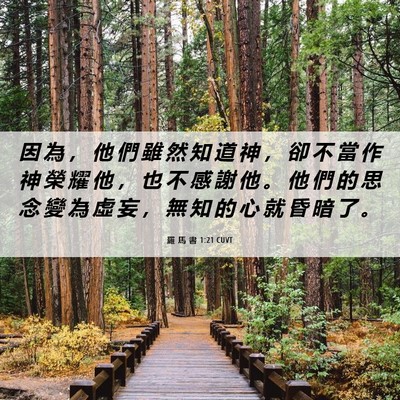 Picture 06 - 羅 馬 書 1:21 CUVT - 因 為 ， 他 們 雖 然 知 道 神 ， 卻 - Bible Verse Picture