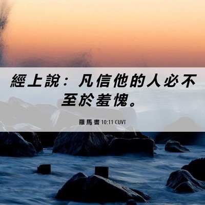 Picture 06 - 羅 馬 書 10:11 CUVT - 經 上 說 ： 凡 信 他 的 人 必 不 至 - Bible Verse Picture