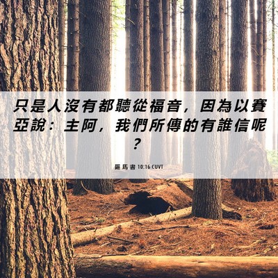 Picture 06 - 羅 馬 書 10:16 CUVT - 只 是 人 沒 有 都 聽 從 福 音 ， 因 - Bible Verse Picture