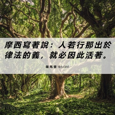 Picture 06 - 羅 馬 書 10:5 CUVT - 摩 西 寫 著 說 ： 人 若 行 那 出 於 - Bible Verse Picture