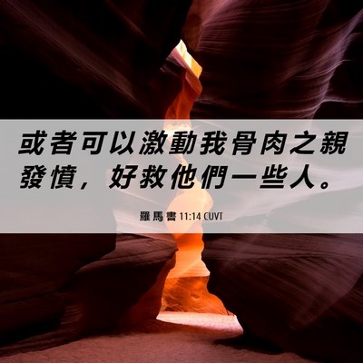 Picture 06 - 羅 馬 書 11:14 CUVT - 或 者 可 以 激 動 我 骨 肉 之 親 發 - Bible Verse Picture