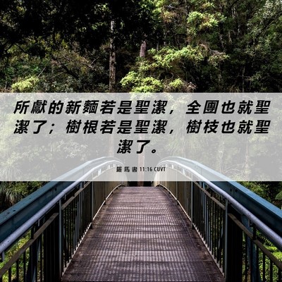 Picture 06 - 羅 馬 書 11:16 CUVT - 所 獻 的 新 麵 若 是 聖 潔 ， 全 團 - Bible Verse Picture