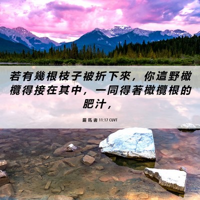 Picture 06 - 羅 馬 書 11:17 CUVT - 若 有 幾 根 枝 子 被 折 下 來 ， 你 - Bible Verse Picture