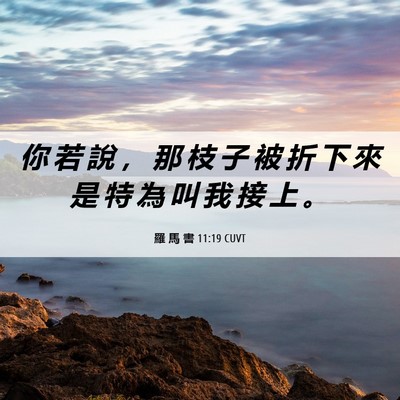 Picture 06 - 羅 馬 書 11:19 CUVT - 你 若 說 ， 那 枝 子 被 折 下 來 是 - Bible Verse Picture
