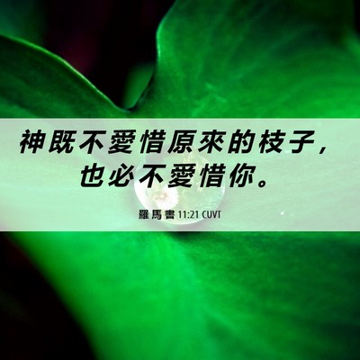 Picture 06 - 羅 馬 書 11:21 CUVT - 神 既 不 愛 惜 原 來 的 枝 子 ， 也 - Bible Verse Picture