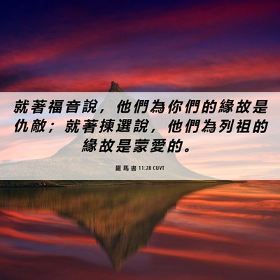 Picture 06 - 羅 馬 書 11:28 CUVT - 就 著 福 音 說 ， 他 們 為 你 們 的 - Bible Verse Picture