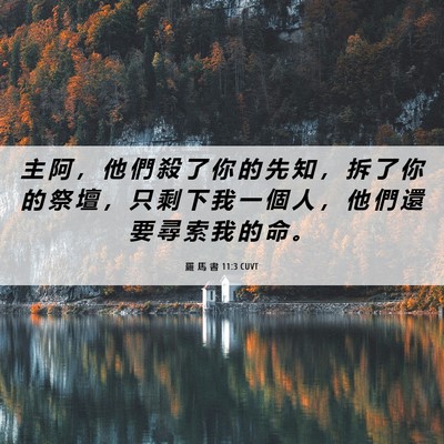 Picture 06 - 羅 馬 書 11:3 CUVT - 主 阿 ， 他 們 殺 了 你 的 先 知 ， - Bible Verse Picture