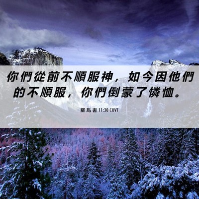 Picture 06 - 羅 馬 書 11:30 CUVT - 你 們 從 前 不 順 服 神 ， 如 今 因 - Bible Verse Picture