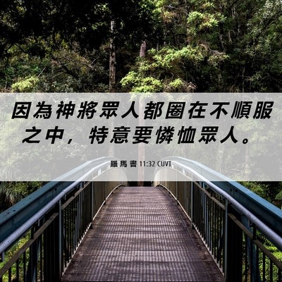 Picture 06 - 羅 馬 書 11:32 CUVT - 因 為 神 將 眾 人 都 圈 在 不 順 服 - Bible Verse Picture