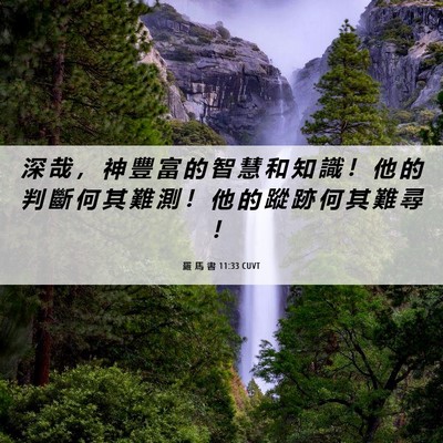 Picture 06 - 羅 馬 書 11:33 CUVT - 深 哉 ， 神 豐 富 的 智 慧 和 知 識 - Bible Verse Picture