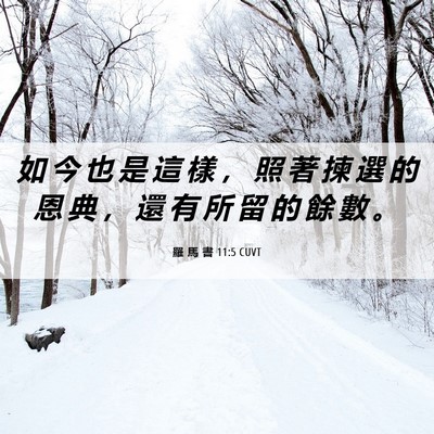 Picture 06 - 羅 馬 書 11:5 CUVT - 如 今 也 是 這 樣 ， 照 著 揀 選 的 - Bible Verse Picture