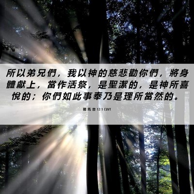 Picture 06 - 羅 馬 書 12:1 CUVT - 所 以 弟 兄 們 ， 我 以 神 的 慈 悲 - Bible Verse Picture