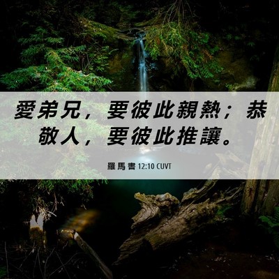 Picture 06 - 羅 馬 書 12:10 CUVT - 愛 弟 兄 ， 要 彼 此 親 熱 ； 恭 敬 - Bible Verse Picture
