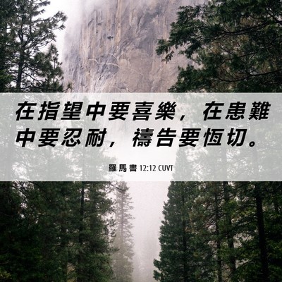 Picture 06 - 羅 馬 書 12:12 CUVT - 在 指 望 中 要 喜 樂 ， 在 患 難 中 - Bible Verse Picture