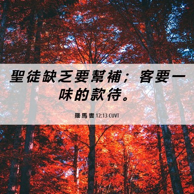 Picture 06 - 羅 馬 書 12:13 CUVT - 聖 徒 缺 乏 要 幫 補 ； 客 要 一 味 - Bible Verse Picture