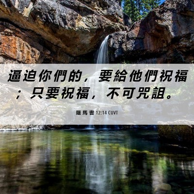 Picture 06 - 羅 馬 書 12:14 CUVT - 逼 迫 你 們 的 ， 要 給 他 們 祝 福 - Bible Verse Picture
