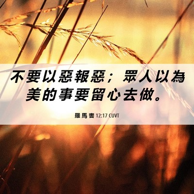 Picture 06 - 羅 馬 書 12:17 CUVT - 不 要 以 惡 報 惡 ； 眾 人 以 為 美 - Bible Verse Picture