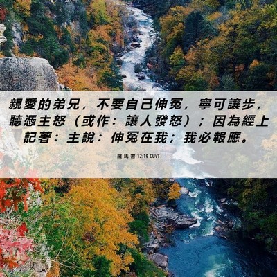 Picture 06 - 羅 馬 書 12:19 CUVT - 親 愛 的 弟 兄 ， 不 要 自 己 伸 冤 - Bible Verse Picture