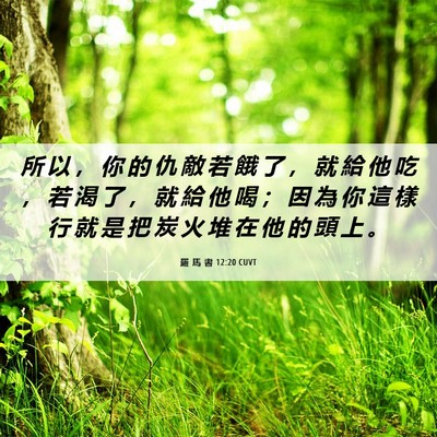 Picture 06 - 羅 馬 書 12:20 CUVT - 所 以 ， 你 的 仇 敵 若 餓 了 ， 就 - Bible Verse Picture