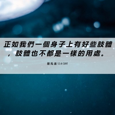 Picture 06 - 羅 馬 書 12:4 CUVT - 正 如 我 們 一 個 身 子 上 有 好 些 - Bible Verse Picture