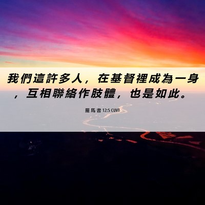 Picture 06 - 羅 馬 書 12:5 CUVT - 我 們 這 許 多 人 ， 在 基 督 裡 成 - Bible Verse Picture