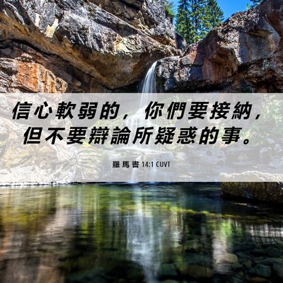 Picture 06 - 羅 馬 書 14:1 CUVT - 信 心 軟 弱 的 ， 你 們 要 接 納 ， - Bible Verse Picture