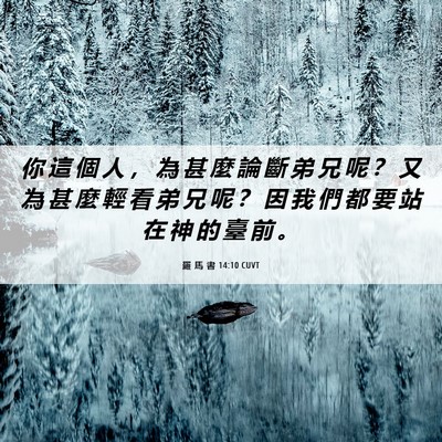 Picture 06 - 羅 馬 書 14:10 CUVT - 你 這 個 人 ， 為 甚 麼 論 斷 弟 兄 - Bible Verse Picture